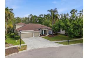 18931 CHAVILLE ROAD, LUTZ, FL 33558 - MLS#MFRTB8491376