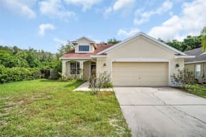 301 TAVERNIER DRIVE, OLDSMAR, FL 34677 - MLS#MFRTB8491384