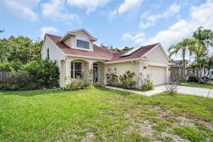 301 TAVERNIER DRIVE, OLDSMAR, FL 34677 - MLS#MFRTB8491384