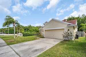 301 TAVERNIER DRIVE, OLDSMAR, FL 34677 - MLS#MFRTB8491384