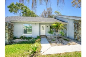 2988 PINEWOOD RUN, PALM HARBOR, FL 34684 - MLS#MFRTB8491395