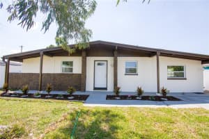 8307 Libby Ln, TAMPA