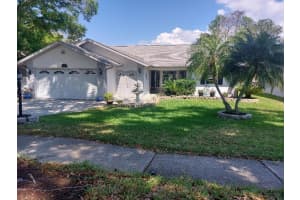 1207 GILLESPIE DRIVE, PALM HARBOR, FL 34684 - MLS#MFRTB8491462
