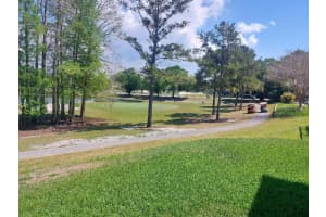 1207 GILLESPIE DRIVE, PALM HARBOR, FL 34684 - MLS#MFRTB8491462