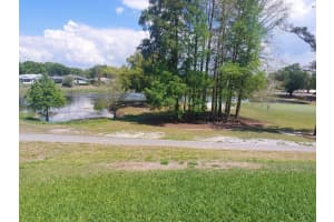 1207 GILLESPIE DRIVE, PALM HARBOR, FL 34684 - MLS#MFRTB8491462