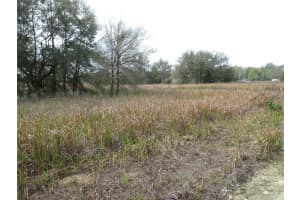 0 24TH PLACE, OCALA, FL 34481 - MLS#MFRTB8491466