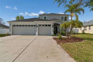 3313 CHESSINGTON DRIVE, LAND O LAKES, FL 34638 - MLS#MFRTB8491469