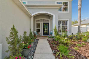 3313 CHESSINGTON DRIVE, LAND O LAKES, FL 34638 - MLS#MFRTB8491469