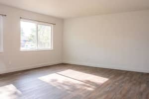 6813 HIMES AVENUE, TAMPA, FL 33611 - MLS#MFRTB8491477