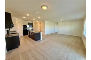 31000 SUMMER SUN LOOP, WESLEY CHAPEL, FL 33545 - MLS#MFRTB8491481