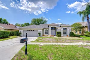 1535 STIPULE COURT, TRINITY, FL 34655 - MLS#MFRTB8491482