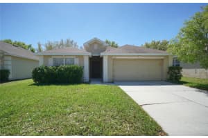 5933 Desert Peace Ave, LAND O LAKES