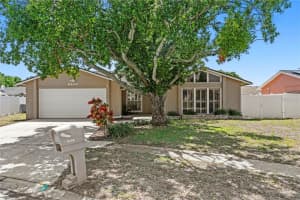 6404 Heather Moor Ct, TAMPA 6404 Heather Moor Ct, TAMPA