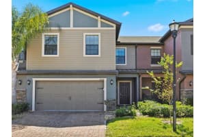 17337 OLD TOBACCO RD, LUTZ, FL 33558 - MLS#MFRTB8491515