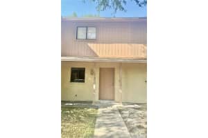 3919 Pine Limb Ct, TAMPA
