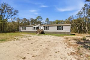 7290 110TH AVENUE, BRONSON, FL 32621 - MLS#MFRTB8491526