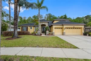 16750 IVY LAKE DRIVE, ODESSA, FL 33556 - MLS#MFRTB8491529