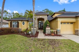 16750 IVY LAKE DRIVE, ODESSA, FL 33556 - MLS#MFRTB8491529