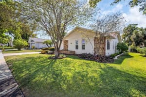 2938 MACALPIN DRIVE, PALM HARBOR, FL 34684 - MLS#MFRTB8491531