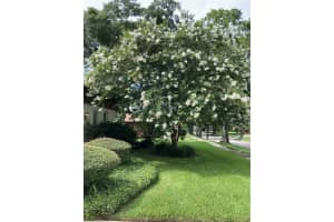 2938 MACALPIN DRIVE, PALM HARBOR, FL 34684 - MLS#MFRTB8491531