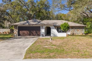 1101 DAGMAR AVENUE, SPRING HILL, FL 34606 - MLS#MFRTB8491532