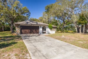 1101 DAGMAR AVENUE, SPRING HILL, FL 34606 - MLS#MFRTB8491532