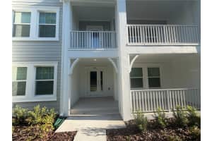 1427 CHESTNUT STREET, TAMPA, FL 33607 - MLS#MFRTB8491542