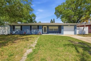 4409 PAUL AVENUE, TAMPA, FL 33611 - MLS#MFRTB8491551