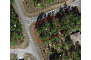 7101 HENDERSON WAY, DUNNELLON, FL 34434 - MLS#MFRTB8491580