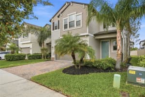 8598 CAMPUS WOODS WAY, NEW PORT RICHEY, FL 34655 - MLS#MFRTB8491598