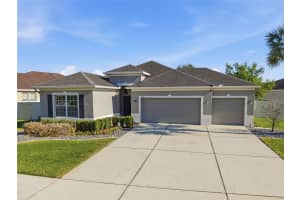 11133 WEMBLEY LANDING DRIVE, LITHIA, FL 33547 - MLS#MFRTB8491599