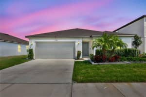 1002 TIDAL ROCK AVENUE, RUSKIN, FL 33570 - MLS#MFRTB8491658
