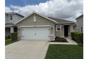 32753 Pez Landing Ln, WESLEY CHAPEL