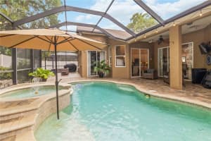 2007 RAVEN MANOR DRIVE, DOVER, FL 33527 - MLS#MFRTB8491687