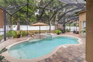 2007 RAVEN MANOR DRIVE, DOVER, FL 33527 - MLS#MFRTB8491687