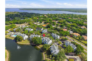 3300 HAVILAND COURT, PALM HARBOR, FL 34684 - MLS#MFRTB8491692