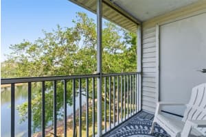 3300 HAVILAND COURT, PALM HARBOR, FL 34684 - MLS#MFRTB8491692