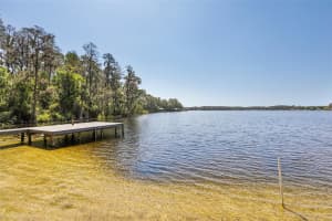 14714 COLOMA LANE, ODESSA, FL 33556 - MLS#MFRTB8491714