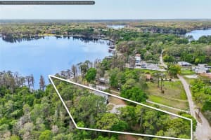 14714 COLOMA LANE, ODESSA, FL 33556 - MLS#MFRTB8491714