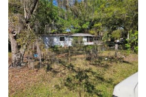 6417 SADDLETREE DRIVE, WESLEY CHAPEL, FL 33544 - MLS#MFRTB8491718