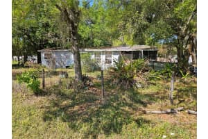 6417 SADDLETREE DRIVE, WESLEY CHAPEL, FL 33544 - MLS#MFRTB8491718