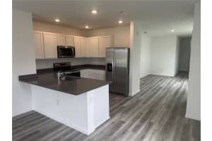 32909 OSPREY PEAK WAY, SAN ANTONIO, FL 33576 - MLS#MFRTB8491729