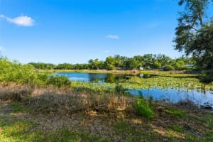 910 LINWOOD TERRACE, LUTZ, FL 33549 - MLS#MFRTB8491734