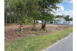 2033 WESTFALL DRIVE, ORLANDO, FL 32817 - MLS#MFRTB8491737