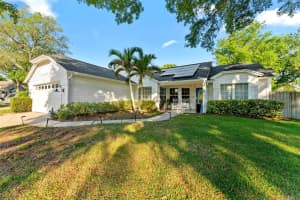 956 Edgehill Dr, PALM HARBOR