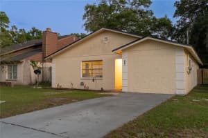 4705 SERENA DRIVE, TAMPA, FL 33617 - MLS#MFRTB8491780