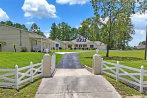 14204 HIGHGROVE ROAD, SPRING HILL, FL 34609 - MLS#MFRTB8491807
