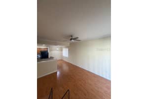 MLS# MFRTB8491814, Tampa, Florida 33609