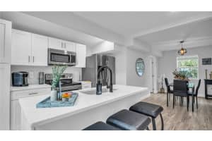 121 PENNSYLVANIA AVENUE, PALM HARBOR, FL 34683 - MLS#MFRTB8491818