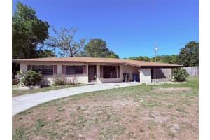 1219 JULIAN LANE DRIVE, TAMPA, FL 33619 - MLS#MFRTB8491843